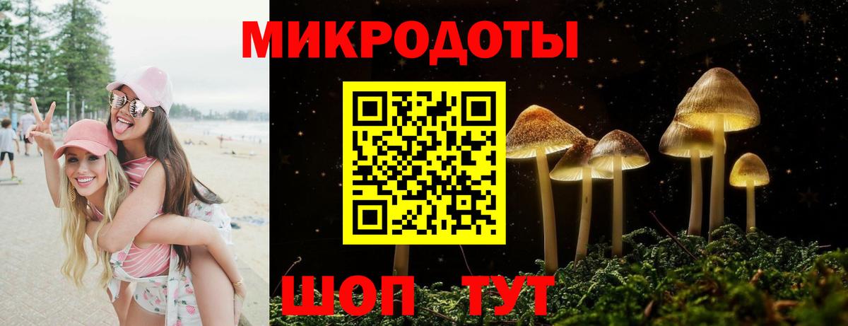 Артёмовский  Псилоцибиновые грибы Psilocybine cubensis  закладки  Вход с VPN 