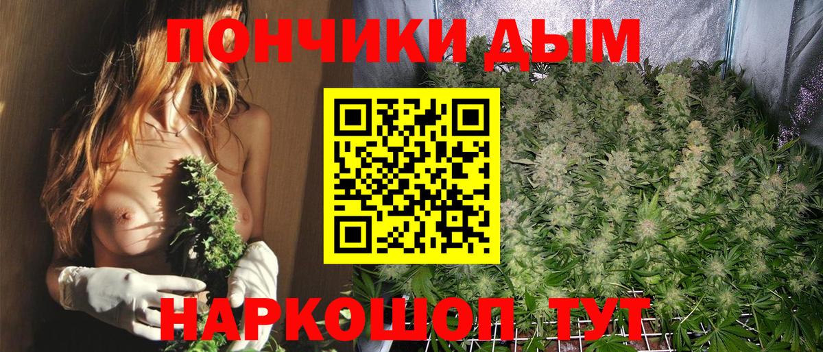Каннабис SATIVA & INDICA  Марихуана конопля  Бошки Шишки Bruce Banner  Конопля тримм  Артёмовский  Вход с VPN 